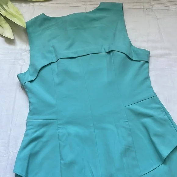 NWT Jayee Sleeveless Dress - Picture 5 of 5